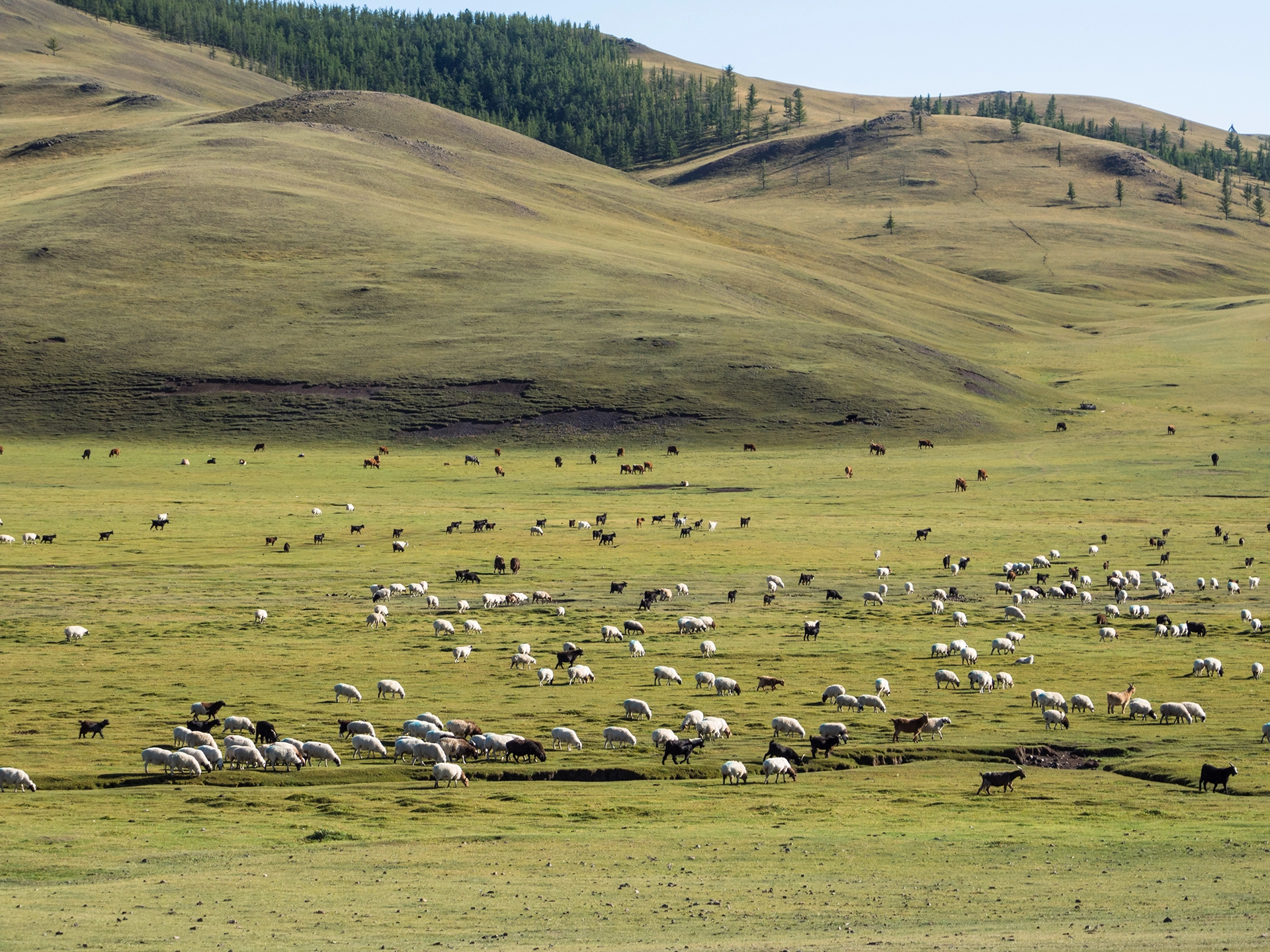 ХҮНС, ХӨДӨӨ АЖ АХУЙН ГАЗРЫН ДАРГА Я.ЭРХЭМБАЯР, ҮЙЛДВЭР ХУДАЛДАА ҮЙЧИЛГЭЭНИЙ АЛБАНЫ ДАРГА Б.ЦОЛМОНБАЯР НАР МӨРӨН СУМЫН ГАЗАР ТАРИАЛАНГИЙН АЖИЛТАЙ ТАНИЛЦЛАА. | HuduuMN